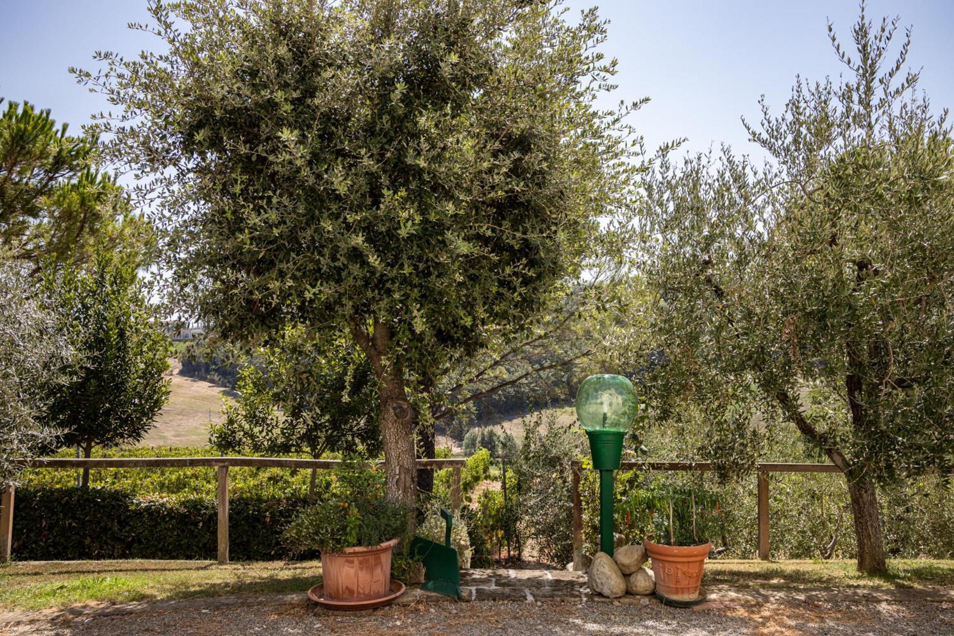 Sole Verde Green House Terricciola Εξωτερικό φωτογραφία
